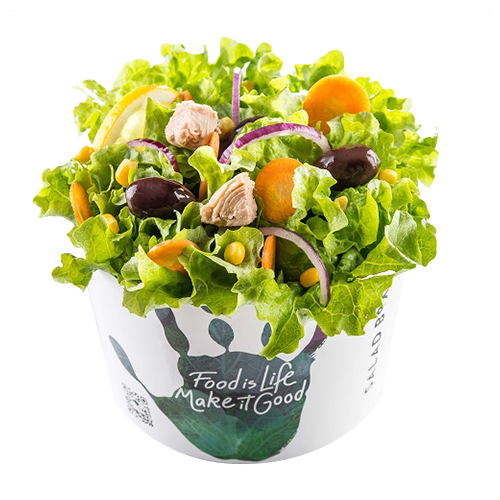 Saladebox  FRESH logo 750cc + deksel combi  doos 300st